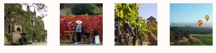 Bandeaux Region1 North Coast   Napa Valley