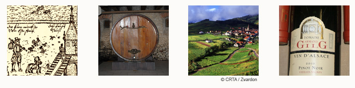 Bandeaux Region Itineraire From Obernai to Ribeauvillé