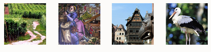 Bandeaux Region alsace Alsace