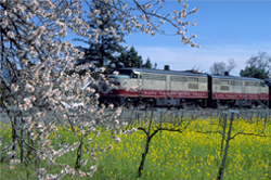 napa valley wine train