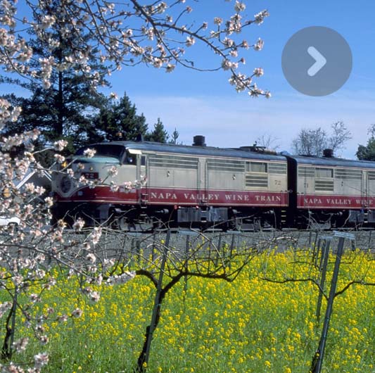 Napa Valley Wine Train